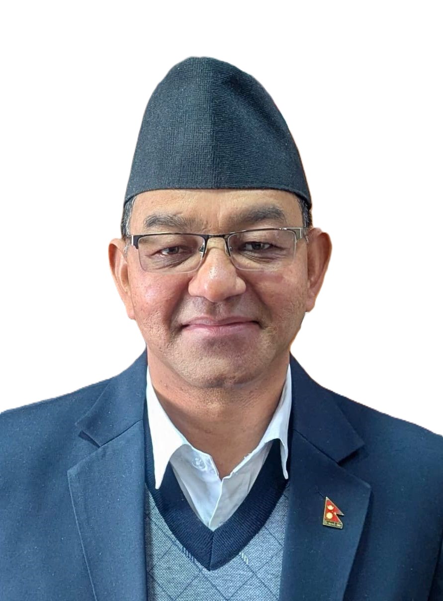 सदस्य